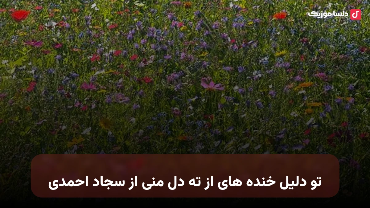 تو دلیل خنده های از ته دل منی از سجاد احمدی